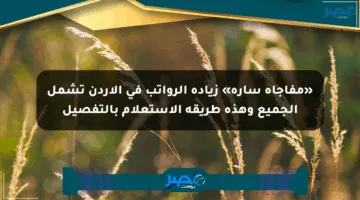 «مفاجأة سارة» زيادة الرواتب في الأردن تشمل الجميع وهذه طريقة الاستعلام بالتفصيل